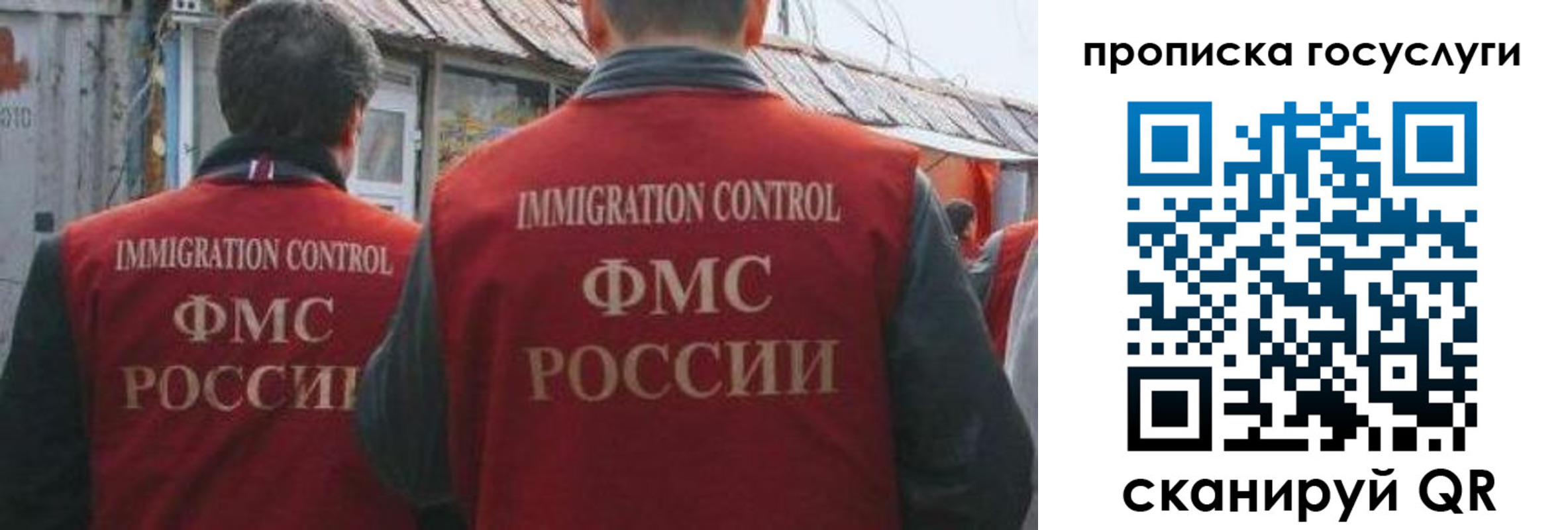 прописка для школы в Коле